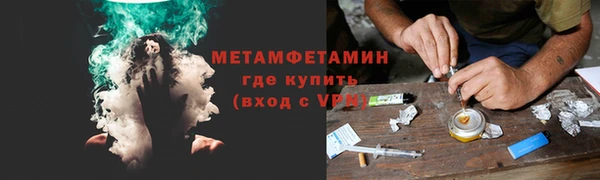 прущие грибы Бронницы
