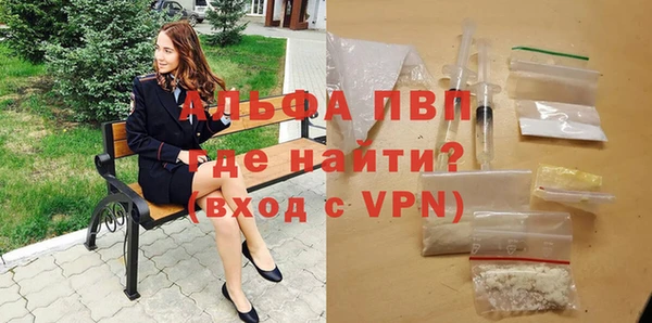 прущие грибы Бронницы
