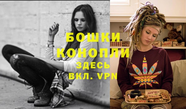 прущий лед Богородицк