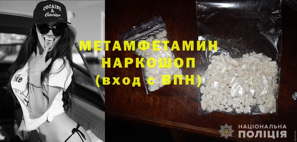 прущие грибы Бронницы