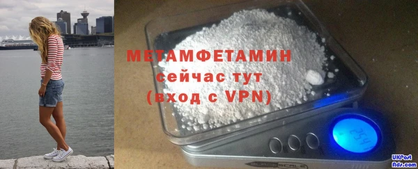 прущие грибы Бронницы