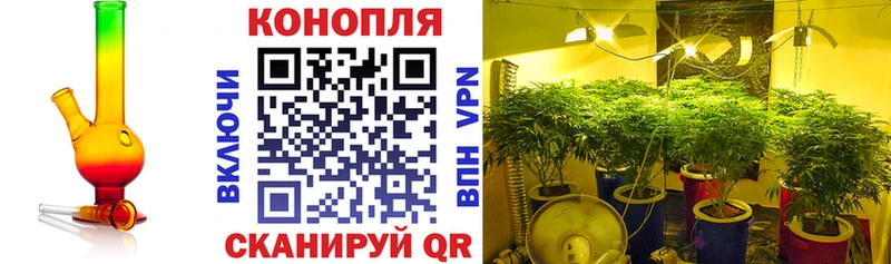 Канабис гибрид  Валдай 